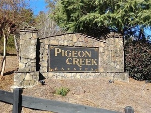 672 Pigeon Creek Drive